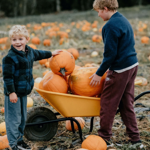 Capture a Little Pumpkin Patch Magic with Sean Elliott Photography!
