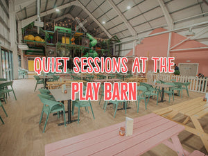 New QUIET Play Barn Sessions