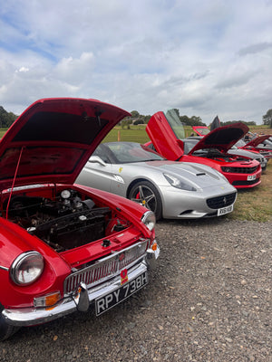 Brocksbushes Summer Car Show