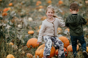 Brocksbushes Pumpkin Smash Day - 1st November