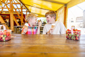 School's Out for Summer at Brocksbushes