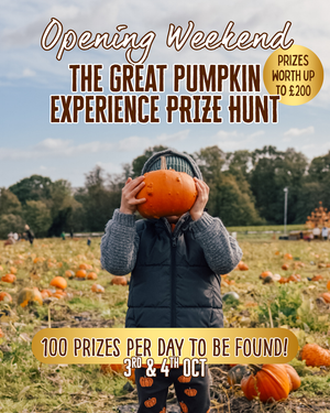The Great Pumpkin Experience Prize Hunt Arrives at Brocksbushes This October