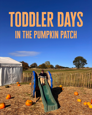 Toddler Days in the Pumpkin Patch: Your Guide to a Little Autumn Magic