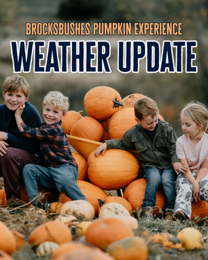 Pumpkin Experience Weather Update