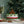 Brocksbushes Homemade Fruit Cake near Newcastle