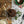 Homemade Christmas Pudding near Corbridge