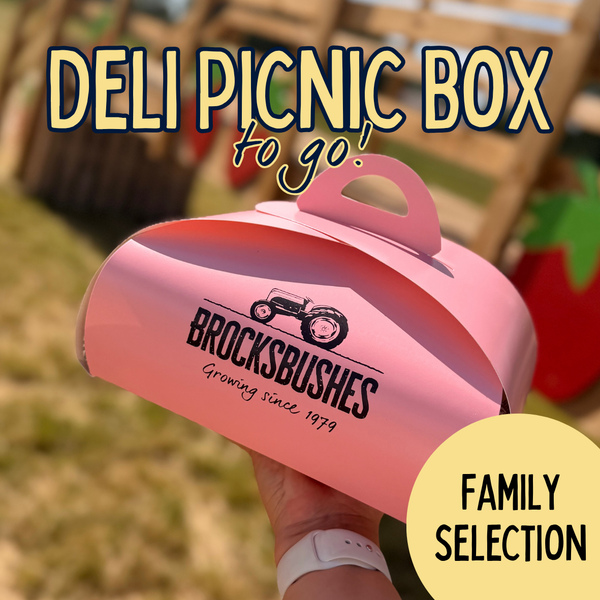 Deli Picnic Box to-go (Family - 3/4 people)