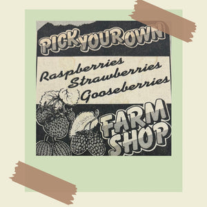 Pick Your Own Strawberries, Raspberries, Blackberries, Red Currants, Black Currants, Plums