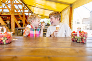 Summer Holiday Activities in Northumberland